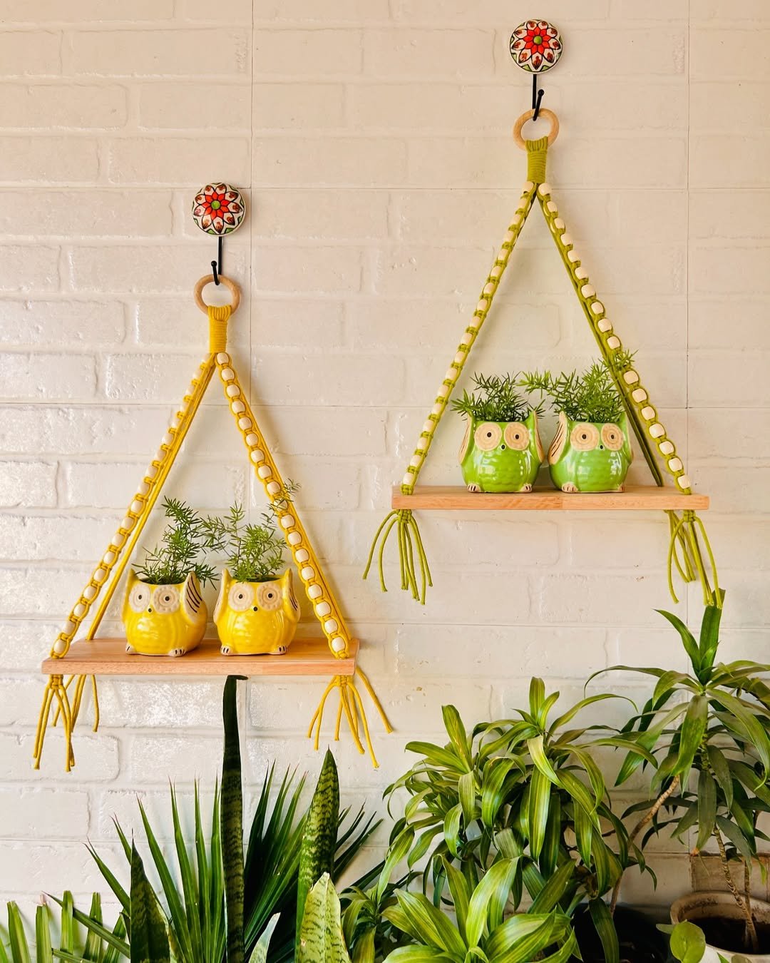 Hanging Plants Wall