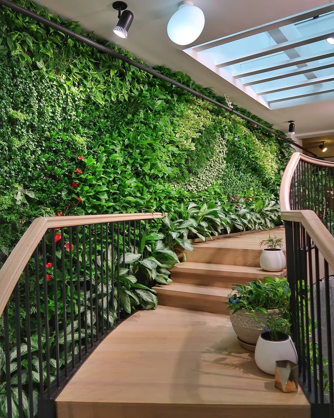 Indoor Plant Wall